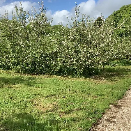 Appartamento Polgoon Vineyard Annex