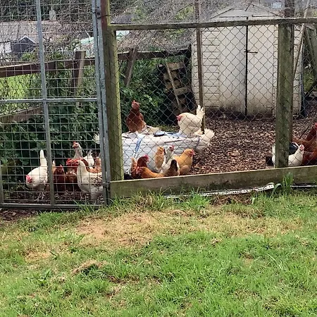 Appartamento Polgoon Vineyard Annex Penzance